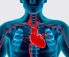 Состоялась школа современных методов лечения сердечно-сосудистых патологий